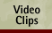 Video Clips