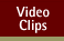 Video Clips